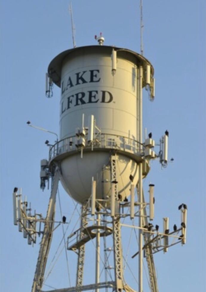 Vultures roosting on a water tower