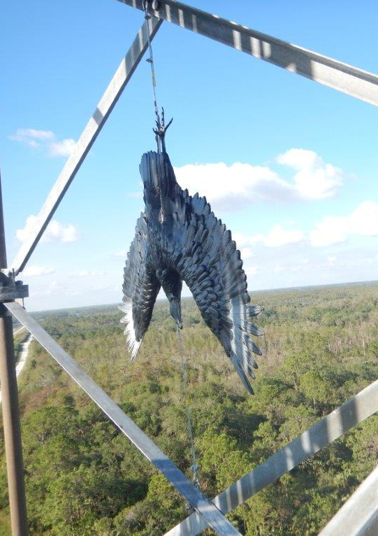 A rubber vulture hung in effigy from the center of a tower
