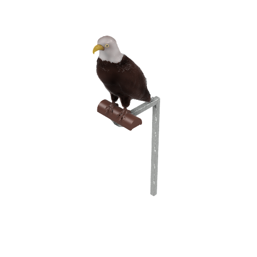 Eagle