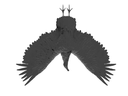 Vulture -  Standard - Still