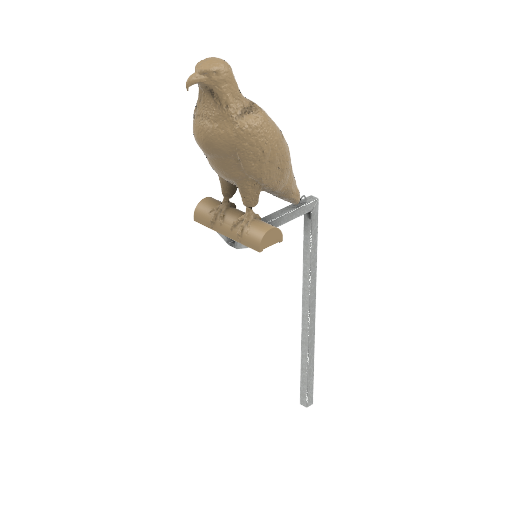 Eagle